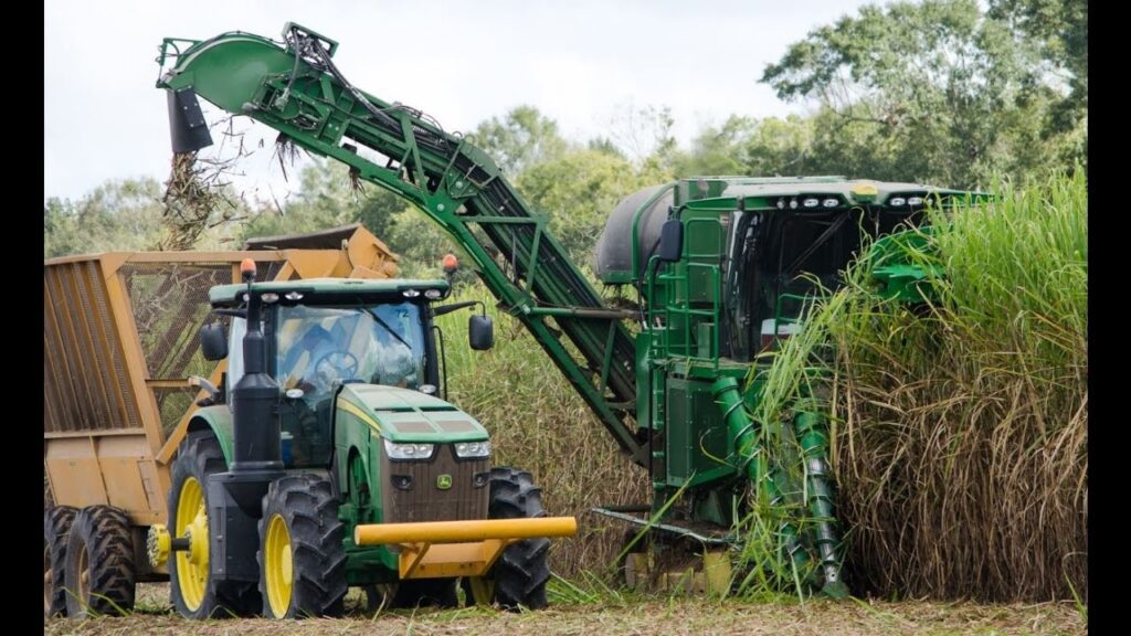 Sugar Cane Harvester ความสำคัญและการทำงาน