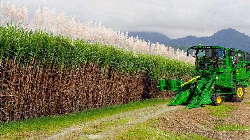 Sugar Cane Harvester ความสำคัญและการทำงาน